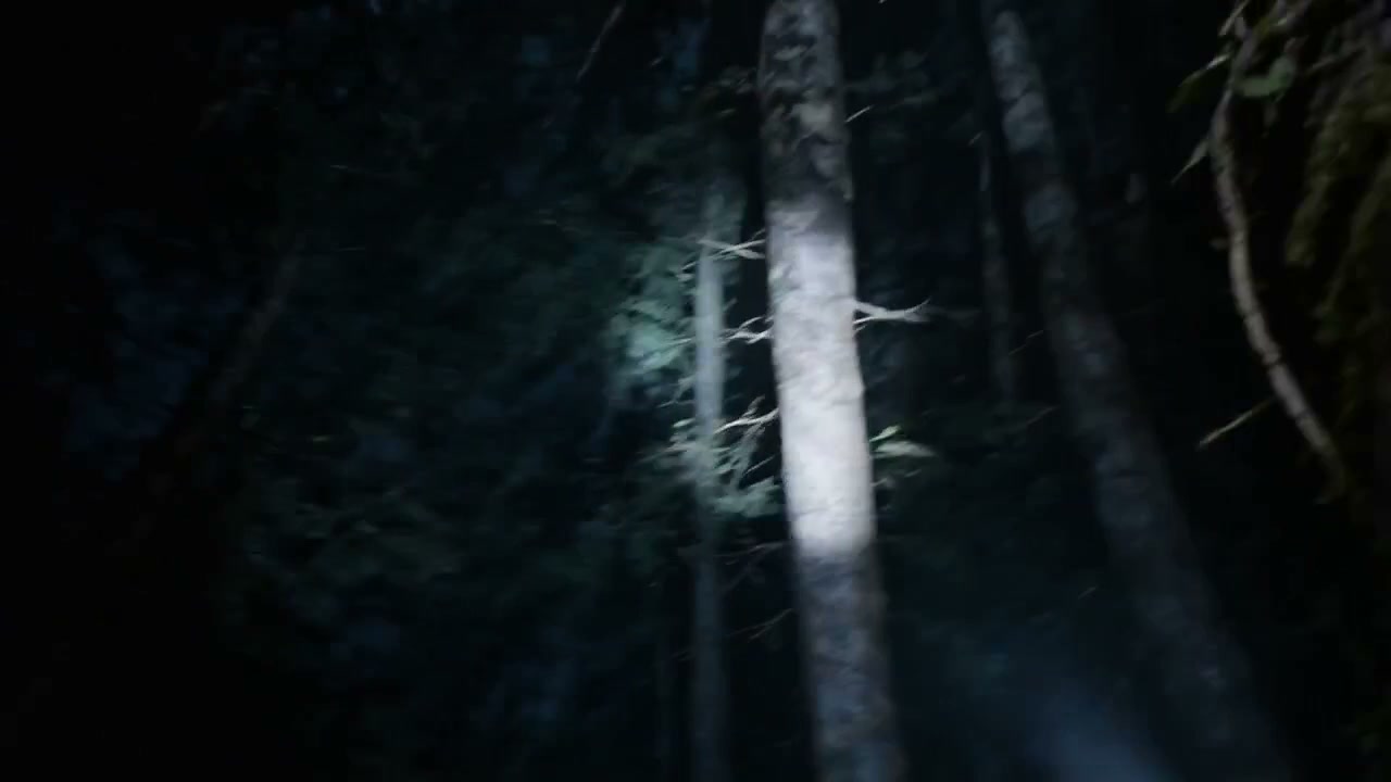 Audio-Synchronized Generation demo preview